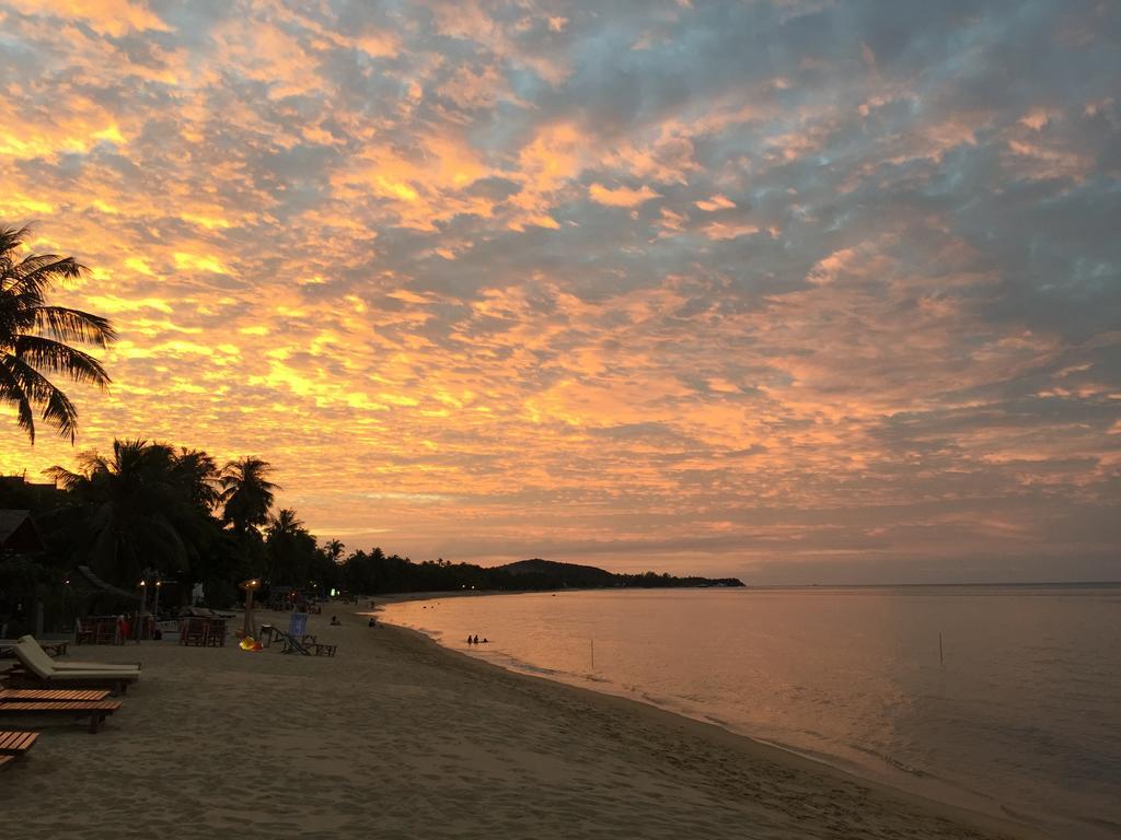 The Cosy Maenam Beach Resort Mae Nam Extérieur photo